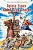 Oglala_Sioux_Chief_Crazy_Horse