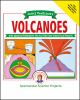 Janice_VanCleave_s_volcanoes
