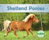 Shetland_ponies