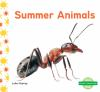 Summer_animals