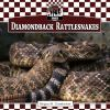 Diamondback_rattlesnakes