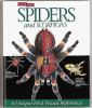 Spiders_and_scorpions