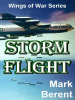 Storm_flight
