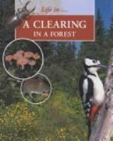 A_clearing_in_a_forest