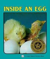 Inside_an_egg