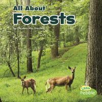 All_about_forests