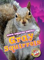 Gray_squirrels