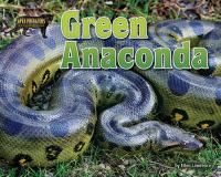 Green_anaconda