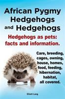 African_pygmy_hedgehogs_and_hedgehogs