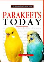 Parakeets_today