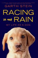 Racing_in_the_rain