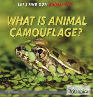 What_is_animal_camouflage_
