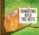 Orangutans_build_tree_nests